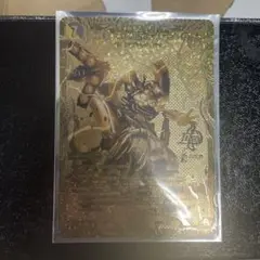 ゴルギーニエンゲルス金