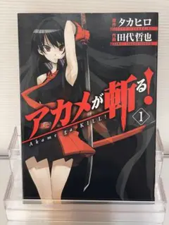 【初版】 アカメが斬る！ 1巻／タカヒロ／月刊ガンガンJOKER／漫画【中古】