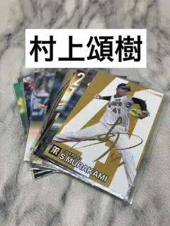 村上頌樹　１３枚セット