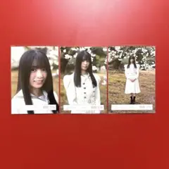 櫻坂46 生写真 稲熊ひな 12th制服 コンプ
