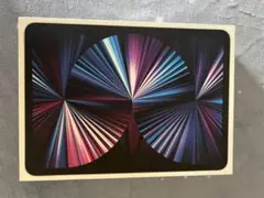 iPad Pro 11センチ 第3世代 M1
