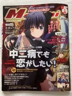 Megami MAGAZINE (メガミマガジン) 2013年 01月号 [雑誌