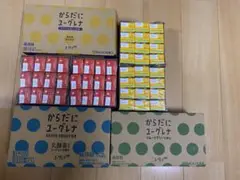 からだにユーグレナ 4ケースセット