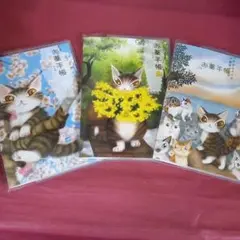 ダヤン お薬手帳 3冊セット