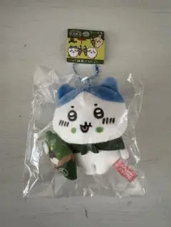 ハチワレ 京都 抹茶ソフト 京都限定