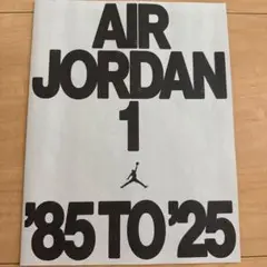 Air Jordan 1 High Reverse Shadow ノベルティ