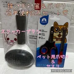 Item thumbnail for item cbcf6108-4e8f-4fc7-80e6-64d8b5c7192e