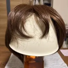 Item thumbnail for item 4c47702a-1068-4de8-924c-052930793dc0