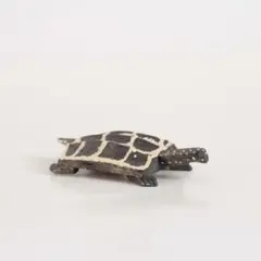 Item thumbnail for item 0635d30d-f882-4372-881e-dfc58e642706