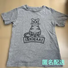 THE NORTH FACE Ishigaki 限定Tシャツ 140