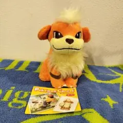 ポケセン キャンバス ぬいぐるみ ガーディ