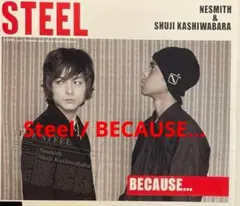 Steel / BECAUSE... cd607120