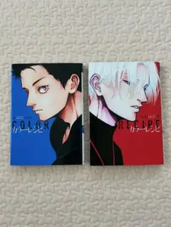カラーレシピ　上下セット　はらだ