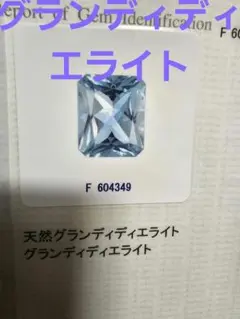 Item thumbnail for item 808e49af-bf74-423f-b94f-b58c5bdfa65e