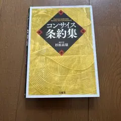 コンサイス条約集 杉原高嶺著 2019年