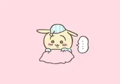 ちゃーちゃ様　専用
