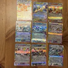 ブイズ8枚セット　テラパゴスex