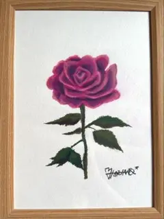 rosa