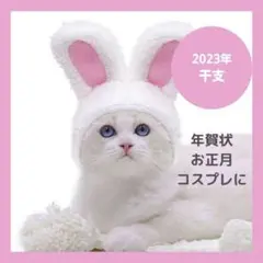 うさぎ被り物 犬 猫 うさ耳 帽子 被り物 クリスマス コスプレ 衣装 干支