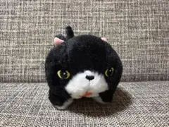 ひげまんじゅう　ツチネコ　ちんまりマンチカン　ぬいぐるみ　猫 ひげまんじゅう ツチネコ ちんまりマンチカン ぬいぐるみ 猫