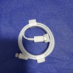 Apple 正規品iphone ライトニングケーブル 充電器 タイプC