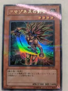 【良品】アマゾネスの剣士＊パラレル