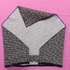 Item thumbnail for item c092c8a1-1b07-4d8b-811c-c5e41192fcdb