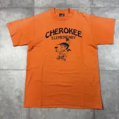 USA ヴィンテージ フルーツオブザルーム M インディアン Tシャツ シングル