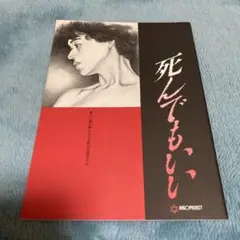 石井隆監督『死んでもいい』映画パンフレット（初公開時のオリジナル）　大竹しのぶ
