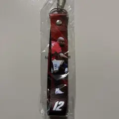 チアゴサンタナ 浦和レッズ ボンフィンベルト ボンフィン 埼スタ ガチャ