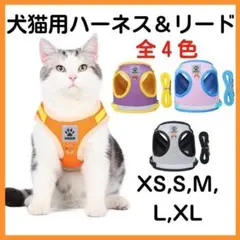 ネコ 猫 ハーネス リード オレンジ XS 散歩 かわいい カラフル 災害 防災