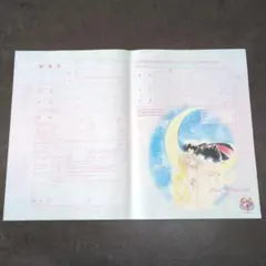 セーラームーン　婚姻届