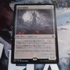 MTG 虚空の選別者 日本語 1枚