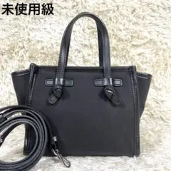 【未使用級】ジャンニキャリーニ ショルダーバッグ 2way ミスマルチェッラ