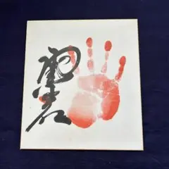 2025年最新】大鵬 手形の人気アイテム - メルカリ