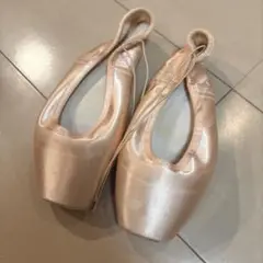 ゲイナーミンデン　6.5M アメリカ製