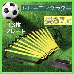 トレーニングラダー 7m 13枚プレート収納袋付き サッカー 陸上 トレーニング