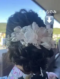 Item thumbnail for item b8007607-2537-4221-80f4-c1f9cbbfb720