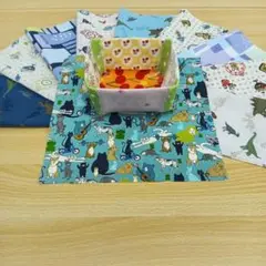 ★B064★ カットクロス/プリント生地/国産/25cm×25cm/10点