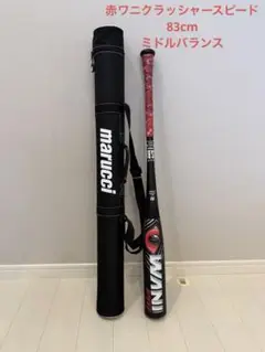 Item thumbnail for item ebfe9c7f-c5a9-4e39-9cc8-665d010f0923