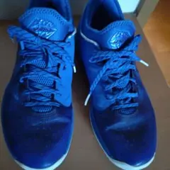 Item thumbnail for item 1c2a6ab2-0baf-4dd3-8421-98667b4cf202