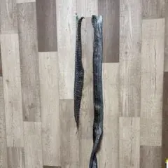 Item thumbnail for item 056bee69-3cb8-478d-a4c5-24a79999099b