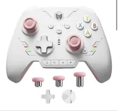 BIGBIG WON RAINBOW 2 SE pink