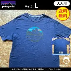 【 パタゴニア 】（L）リユース品：Tシャツ ロゴT　ネイビー
