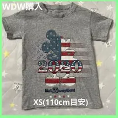 Item thumbnail for item 43156a5a-621b-4b4c-915d-8fdaff7678e0