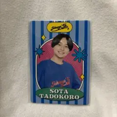2025年最新】田所蒼大 プロフィールカードの人気アイテム - メルカリ