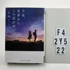 今夜、世界からこの恋が消えても F4-2Y522