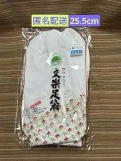 Item thumbnail for item 8e6eb3aa-566e-4d3f-a68c-a14c25c5af25