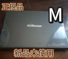 Item thumbnail for item f4c3d936-8526-4a2d-9ca7-8efeb245abfd