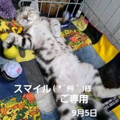 ★スマイル( *´艸｀)様★